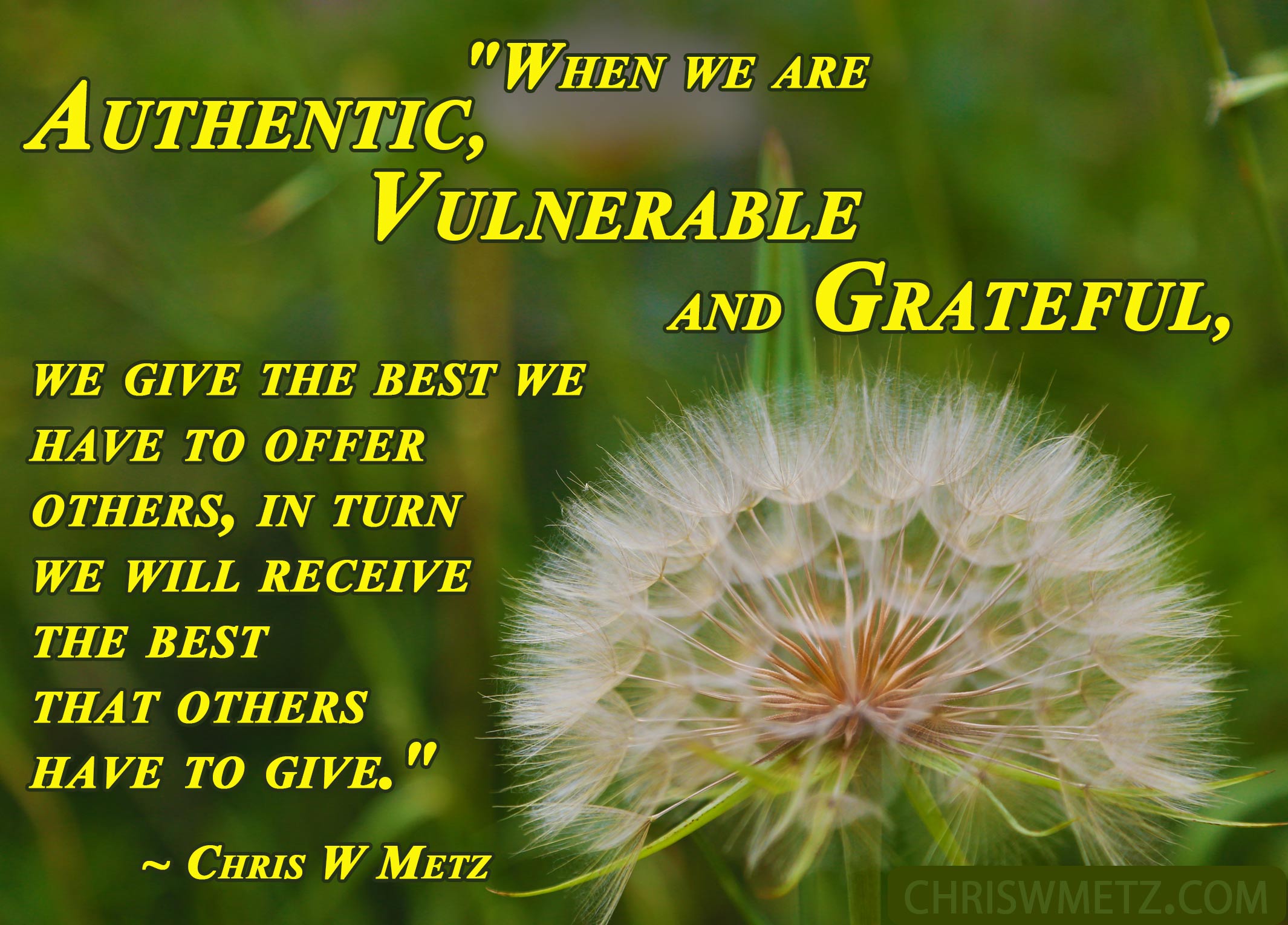 Authenticity Vulnerability Quote 8 Chris W Metz