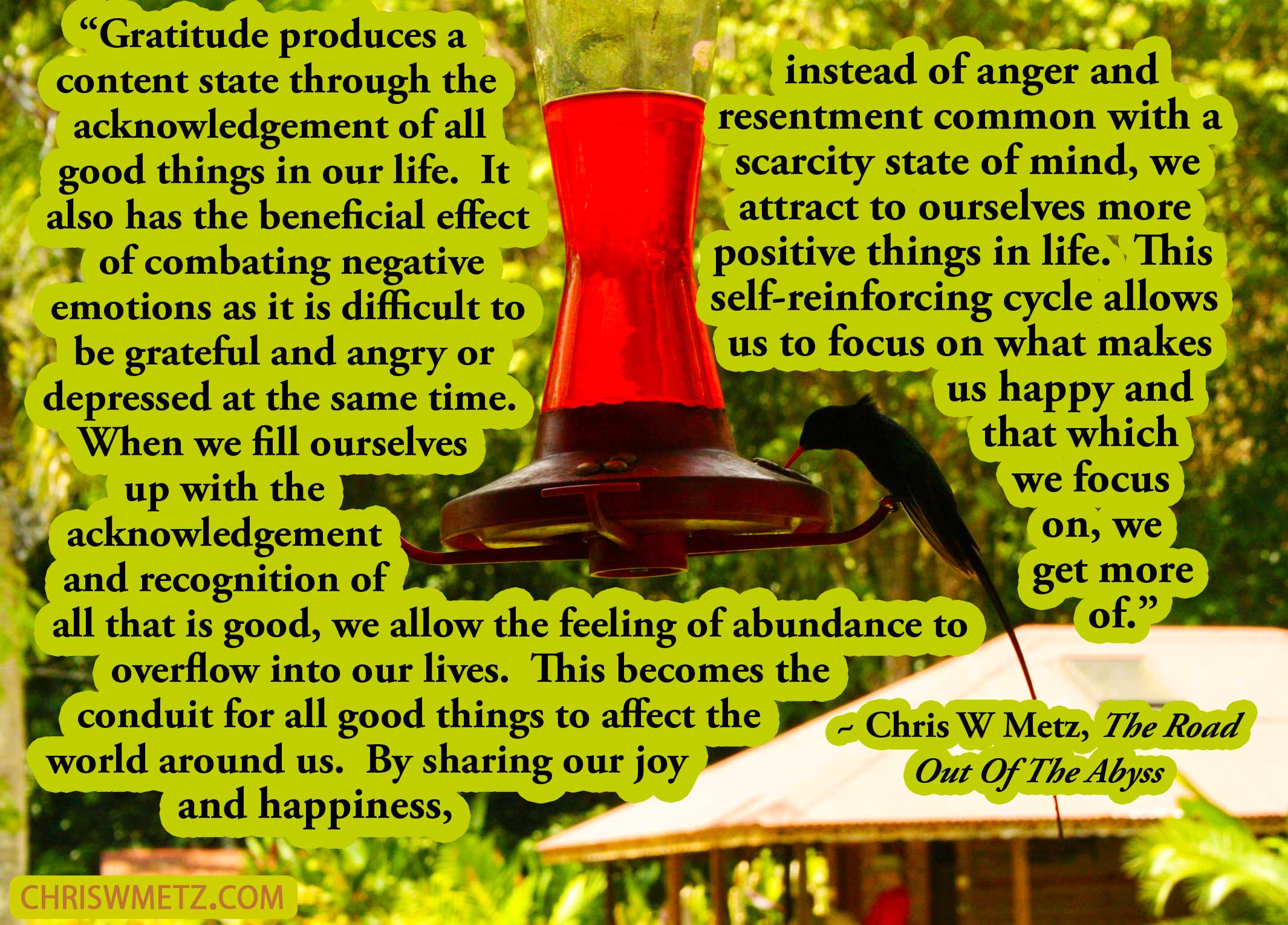 Gratitude Quote 3 Chris W Metz - The Road Out Of The Abyss