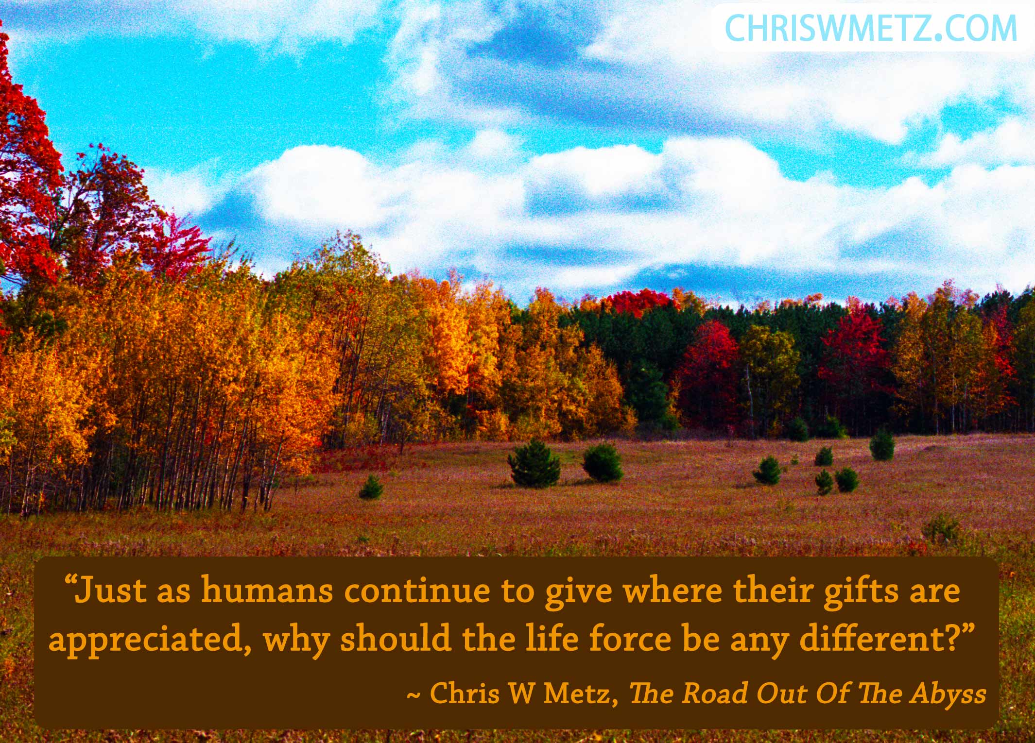 Gratitude Quote 8 Chris W Metz - The Road Out Of The Abyss
