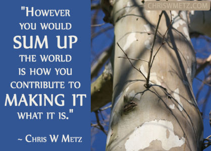 Conscious Creation Manifesting Quote 12 Chris Metz chriswmetz.com