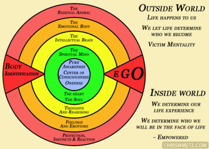 Evolutionary Consciousness Circle Diagram 1 Chris W Metz
