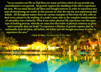 Growth Quote 5 Chris Metz - The Road Out Of The Abyss chriswmetz.com