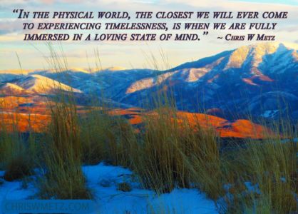 Love Quote 34 Chris W Metz purpose of the soul