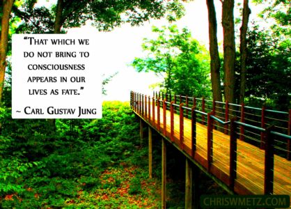 Self Awareness Quote 9 Carl Jung chriswmetz.com
