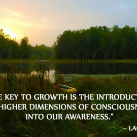 Understanding Consciousness – Part 4 – Consciousness Levels
